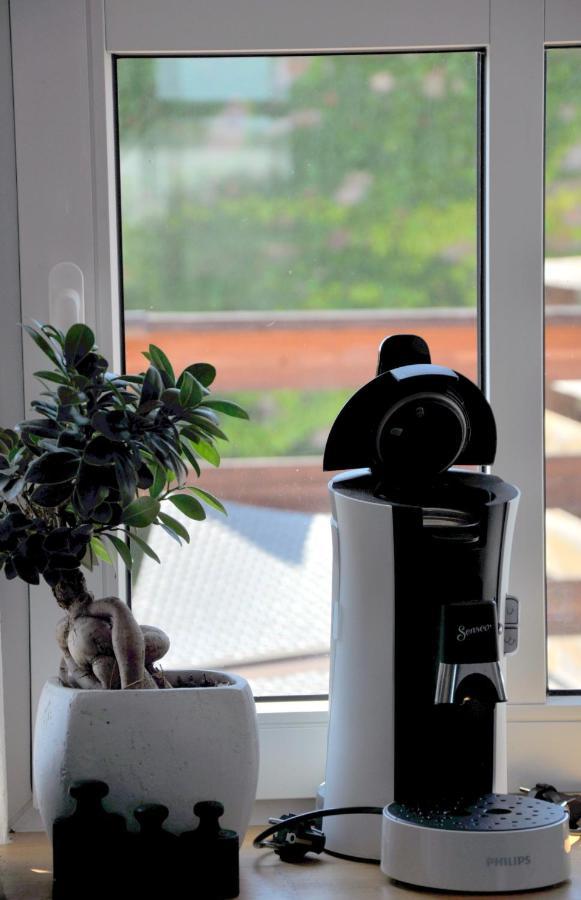 Wolmirstedt Gemuetliche Dachwohnung Mit Kleiner Oder Grosser Dachterrasse Nebeneinander מראה חיצוני תמונה